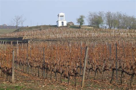 Cultured Adventurer / 5 tempting reasons to visit Hungary's Tokaj wine region!