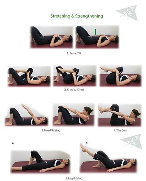 lower back exercises | Lower Back Exercises | Maya Physio & Health | Lower back exercises, Back ...