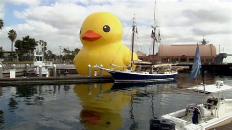 Giant rubber duck's move causes concern - ABC30 Fresno