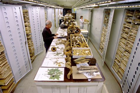 Amazing Photos of the Smithsonian's Massive Specimen Collections in DC | PetaPixel