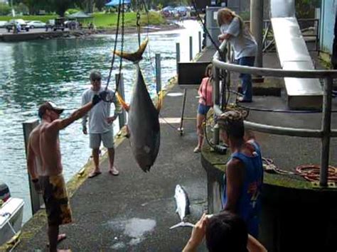 Hawaii Fishing Tournament in Hilo - YouTube