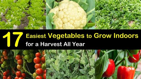 17 Easiest Vegetables To Grow Indoors for a Harvest All Year - Indoor Vegetable Growing Guide