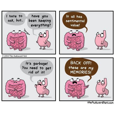 Digestive systems | Awkward yeti, Medical humor, Awkward