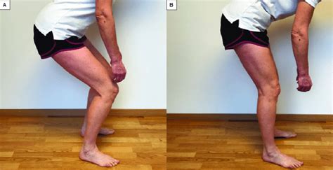 A-B. Squat to 90 Degrees Knee Flexion (visual evaluation from the side;... | Download Scientific ...