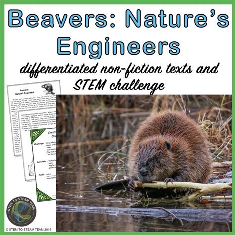 Beavers: Nature's Engineers Reading and STEM Challenge - Science and STEAM Team