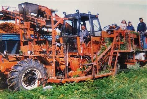 Used Carrot Harvesters for Sale - Onion World