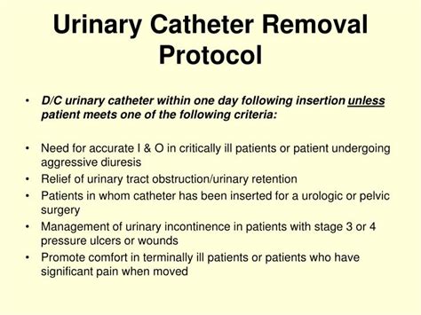 PPT - Urinary Catheter Updates PowerPoint Presentation - ID:263602