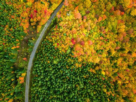 Fall Foliage in Northern Maine, USA