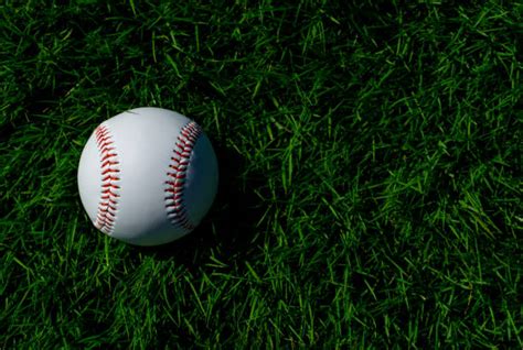 40+ Nippon Professional Baseball Photos Stock Photos, Pictures & Royalty-Free Images - iStock