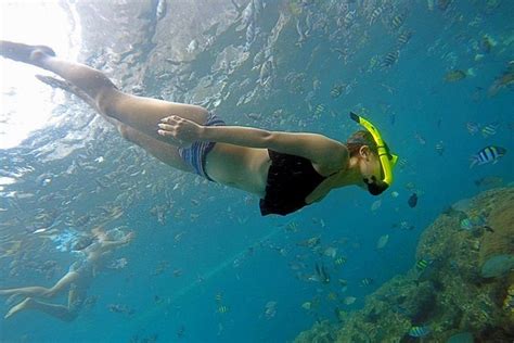 From Phuket Full Day Phi Phi Island Snorkeling Tour | Triptipedia