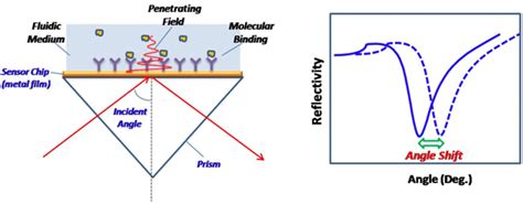 Technical Note 102: SPR Sensitivity and Detection Limit - Biosensing Instrument