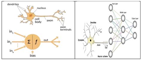 Artificial Neural Network - Types, Applications, Basic Models