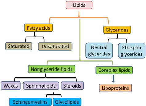 Lipids - Assignment Point