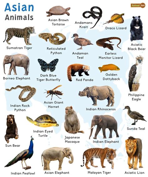 Endangered Animals In Asia