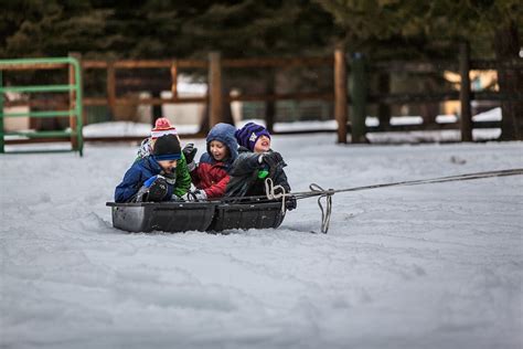 kids on sled • Haverford Township Free Library