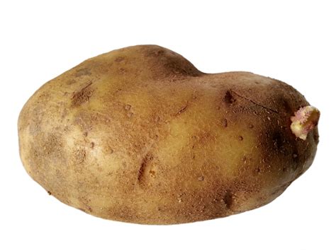 Potato Free Stock Photo - Public Domain Pictures