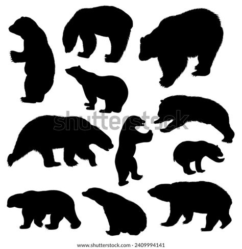 Collection Silhouette Illustrations Polar Bear Stock Vector (Royalty ...