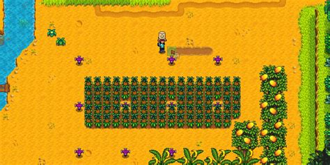 Unlocking the Secrets of Ginger Island in Stardew Valley: Optimal Crops for Frogs!