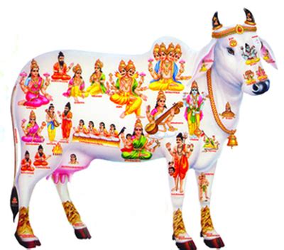 Kamadhenu - Significance of Gomatha in Hinduism - TemplePurohit - Your ...