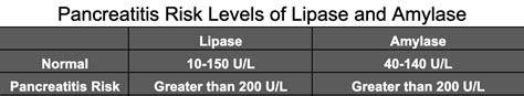 Amylase and Lipase Risks: Pancreatitis, Digestive Issues and More