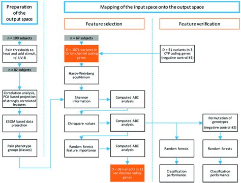 Flow chart of the data analysis. The figure gives an overview of the ...