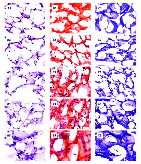 The images of hematoxylin staining, hematoxylin-eosin staining, and ...