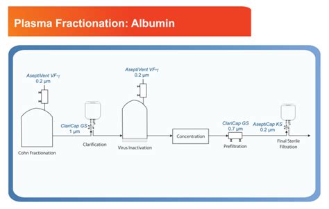 Plasma Fractions