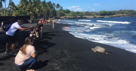 Small Group Big Island Tour - Hawaii Volcanoes National Park and Kona Coffee Farm - Cheap ...