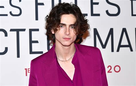 Timothée Chalamet reportedly played Willy Wonka in a new prequel – ABCAction.News