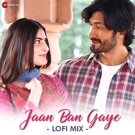 ‎Jaan Ban Gaye - Lofi Mix - Single by DJ Raahul Pai, Deejay Rax, Mithoon, Vishal Mishra & Asees ...