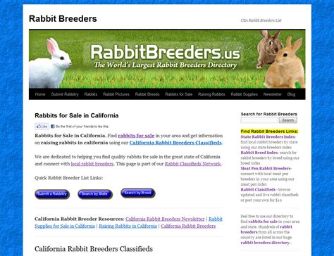 Rabbits for Sale in California - Bunny Breeders in California