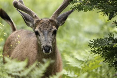 North Dakota Volunteers to Lead Conservation Campaign - The National Wildlife Federation Blog