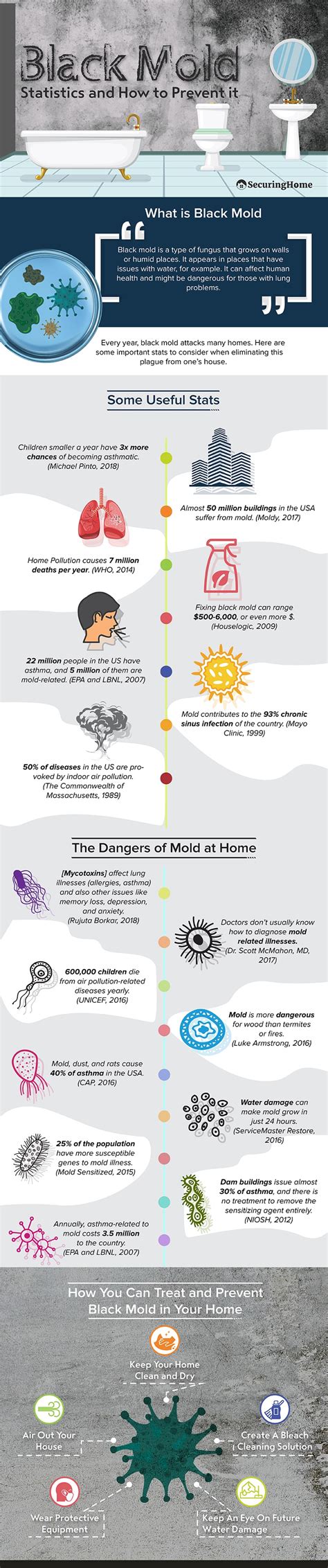 How to Get Rid of Black Mold [Infographic]