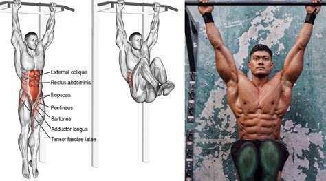 hanging leg raise muscles > OFF-50%