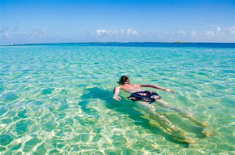 Snorkel the Southern Barrier Reef of Belize | Placencia Belize Snorkeling