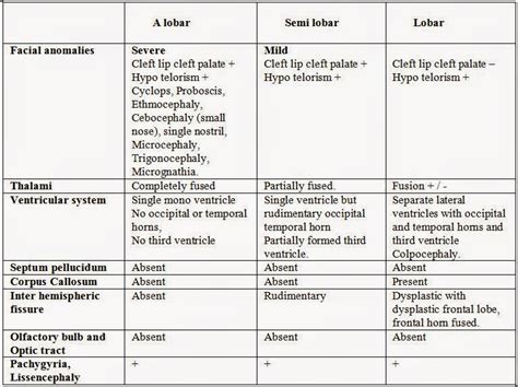 Dr Balaji Anvekar FRCR: Semi lobar holoprosencephaly MRI