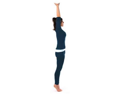 Top 11 Yoga Poses for Beginners - Steps and Benefits