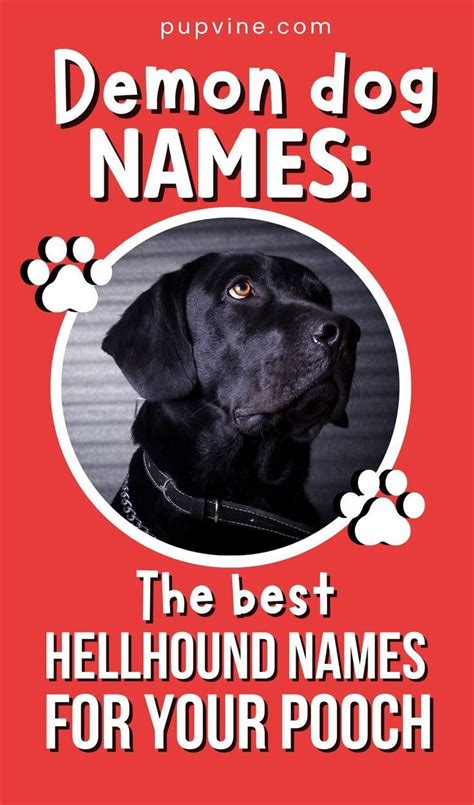 Demon dog names the best hellhound names for your pooch – Artofit