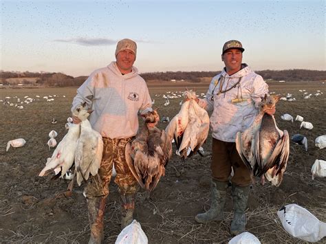 Self -Guided Spring Snow Goose Hunts In Mound City, Missouri - Squaw Creek Hunt Club - Mound ...