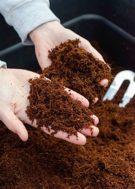 Coco coir brick: eco friendly compost from Coco & Coir - Growing Family