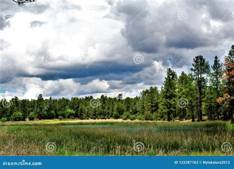 White Mountain Nature Center, Pinetop Lakeside, Arizona, United States ...