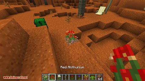 Tropicraft Mod 1.12.2/1.10.2 (Tropical Paradise, Let's Go On Holidays ...