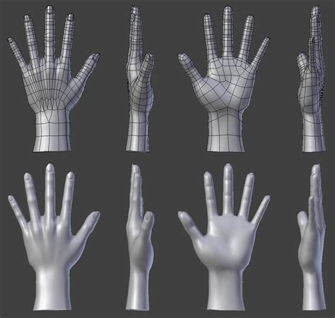 Hand Topology/Proportions - Focused Critiques - Blender Artists Community