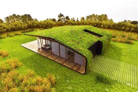 20 Amazing Homes with Grass Roof Designs