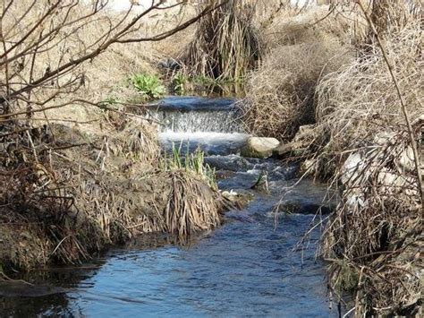 LOUIS RUBIDOUX NATURE CENTER - 12 Photos - 5370 Riverview Dr, Riverside ...