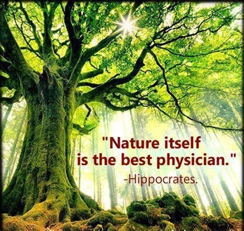 Nature Health and Healing - Nature Health and Healing