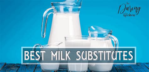 18 Best Milk Substitutes For Every Occasion - Daring Kitchen