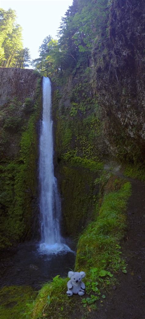 This trail in the Columbia Gorge of Oregon passes through a tunnel ...