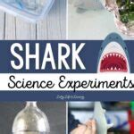 Shark Science Experiments