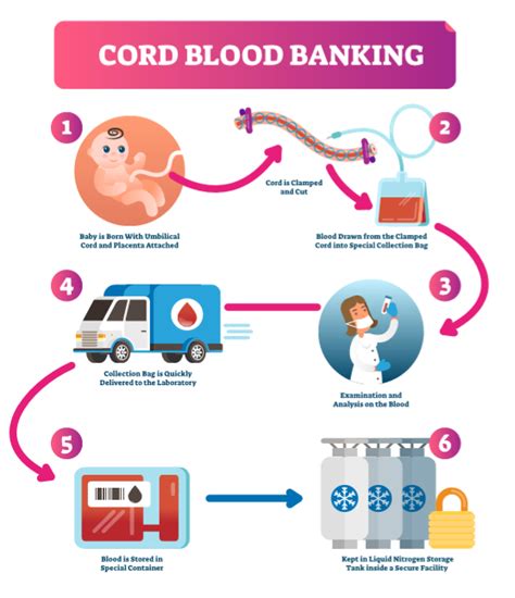 Cord Blood Banking | Cord Blood Banking Benefits | Cord Blood Uses ...